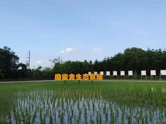 -迪茵湖田家舍生态农场