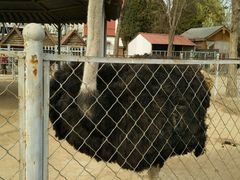 -意大利农场度假村