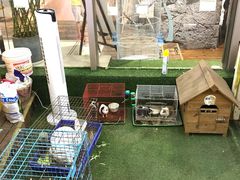 -巴黎春天(浦建店)