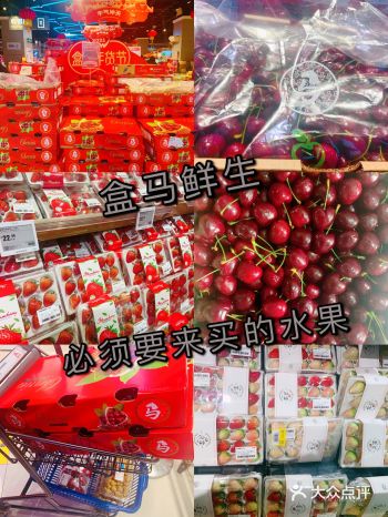 年货大采购 | 盒马也太好逛了吧！