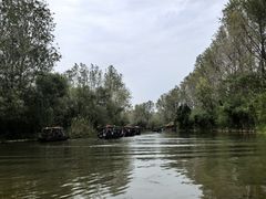 -溱湖国家湿地公园