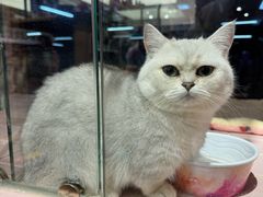 -FAELING PETS美天灵宠物(富力广场店)
