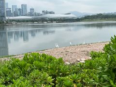 -深圳湾公园(南山区)