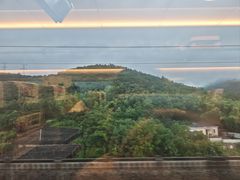 -重庆市奥林匹克体育中心-游泳跳水馆