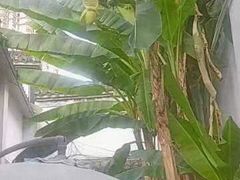 -不倒翁·徽天下名菜楼(马鞍山路店)