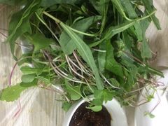 -铁锅炖灶台鱼老三炖鱼馆