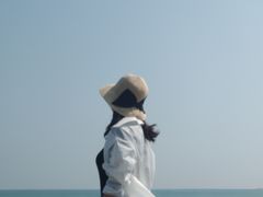 -贝壳沙滩
