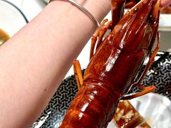 -新光酒家·河豚·海鲜·蟹料理(浦东店)