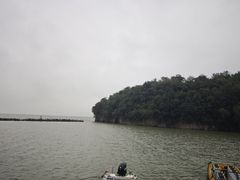 -巢湖姥山岛