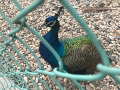 -南京金牛湖风景区