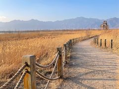 -野鸭湖国家湿地公园