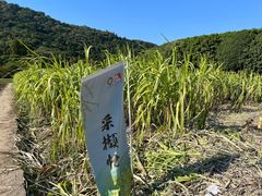 -八卦田遗址公园