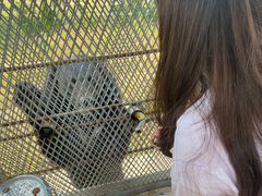 -马家庄动物园