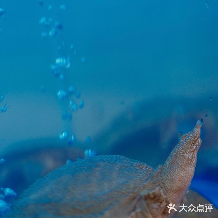 汕头宵夜好去处➕1