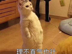 -江南大学-第一食堂(江南苑)