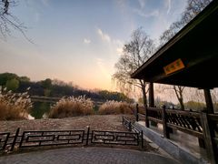 -大兴滨河森林公园