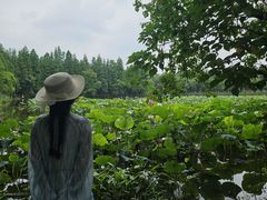 -艾溪湖湿地公园