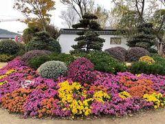 -惠山古镇·寄畅园