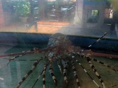 -大螃蟹海鲜餐厅