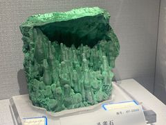 -湖南省地质博物馆