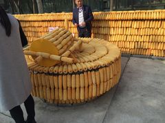 -北戴河集发农业梦想王国