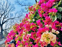-红螺寺