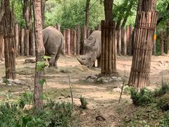 -北京野生动物园