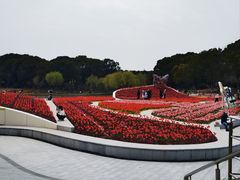 -上海鲜花港