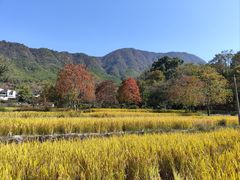 -塔川景区
