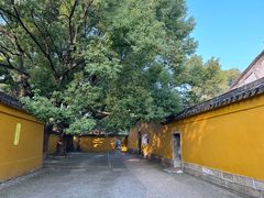 -西园戒幢律寺