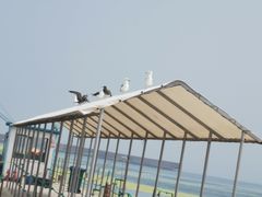 -海驴岛(荣成市)