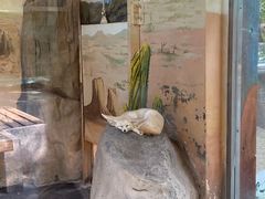 -上海野生动物园