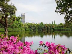 -成都南湖公园
