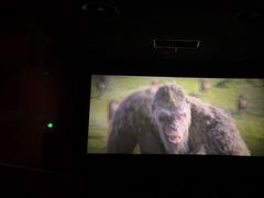 -天幕新彩云国际影城(激光巨幕店)