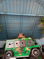 -宝燕乐园(闵行旗舰店)