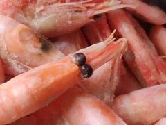 北极虾-郭记烤肉(正阳街店)