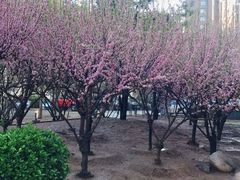 -福奈特洗衣·洗鞋·奢侈品护理(北京上京家园店)