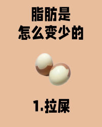 -Fundi张玉珊修身堂·indiba·BTL科技瘦身