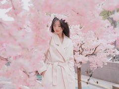 -金茂览秀城