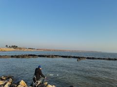 -合肥滨湖国家森林公园