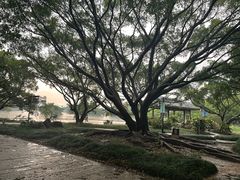 -江心屿景区