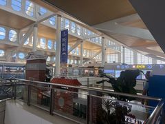 -厦门高崎国际机场-T3航站楼