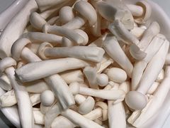-蚝大仙横琴生蚝火锅(中央汇店)