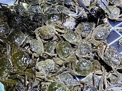 -聚盛源蒸汽海鲜火锅烤肉自助(巨川金海岸购物广场店)