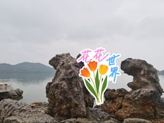 -东湖落雁景区