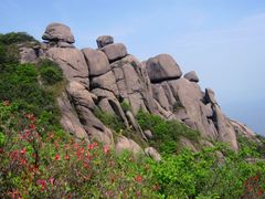 景点-莲峰云海景区