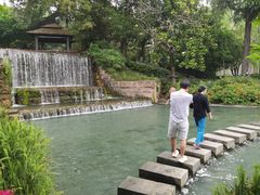 -成飞公园