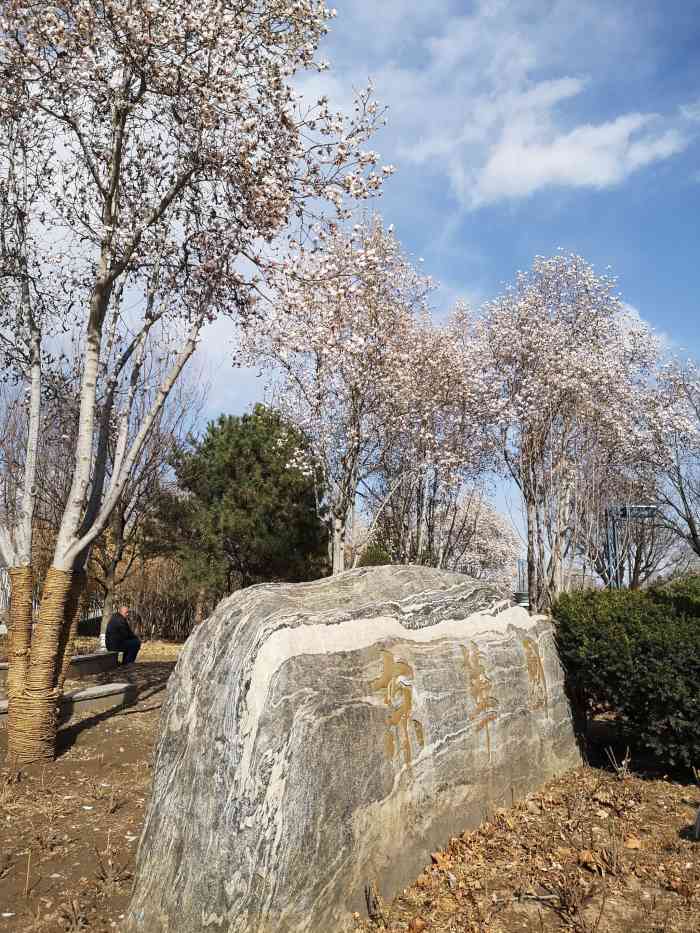 花博会主题公园"花博会主题公园位于后沙峪镇枯柳树环岛西侧.