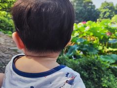 -西湖外事游船(花港观鱼码头)