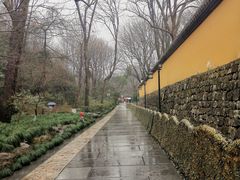 -灵隐飞来峰景区